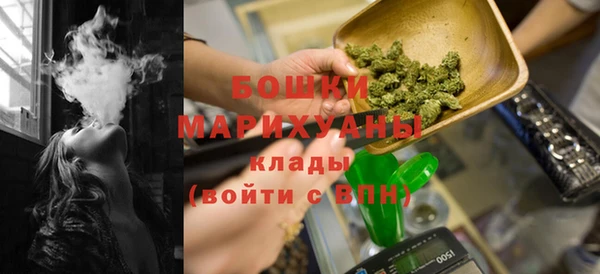 стаф Медногорск