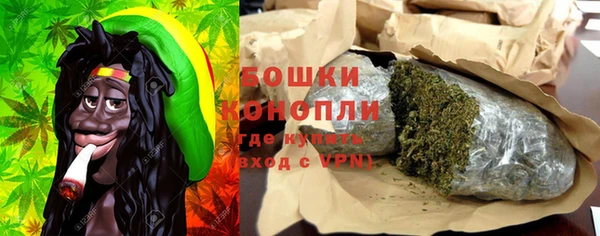 ГАЛЛЮЦИНОГЕННЫЕ ГРИБЫ Медвежьегорск