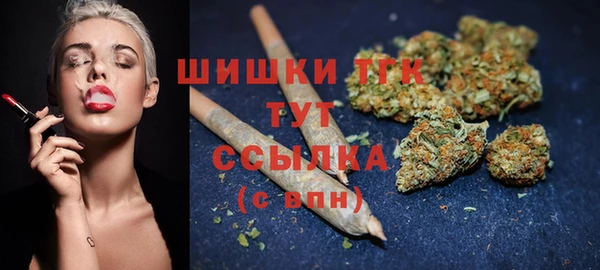 ешки Вяземский