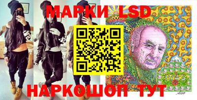 спайс Берёзовский