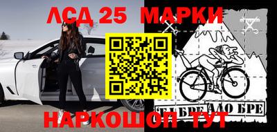 спайс Берёзовский