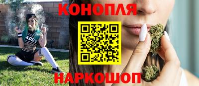 стафф Краснодар