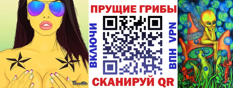 Галлюциногенные грибы Cubensis  Курчатов 
