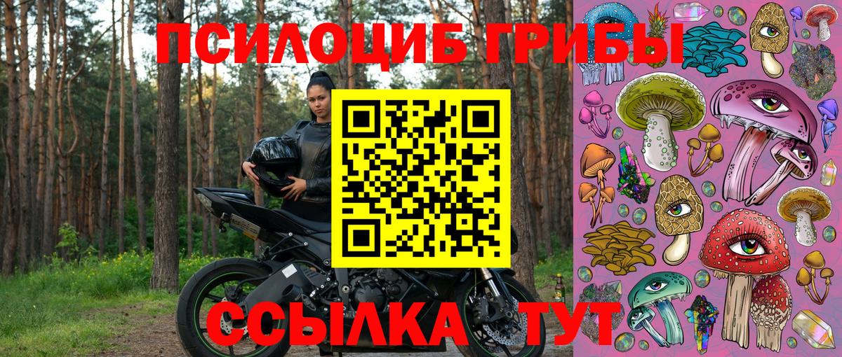 Псилоцибиновые грибы мухоморы Курчатов