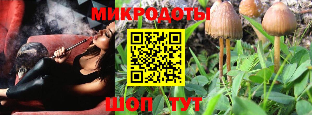 Псилоцибиновые грибы Psilocybe  Вход с VPN  Курчатов 